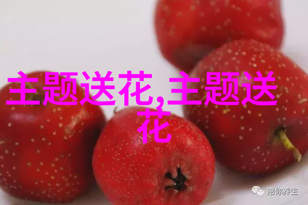 春节适合送什么花