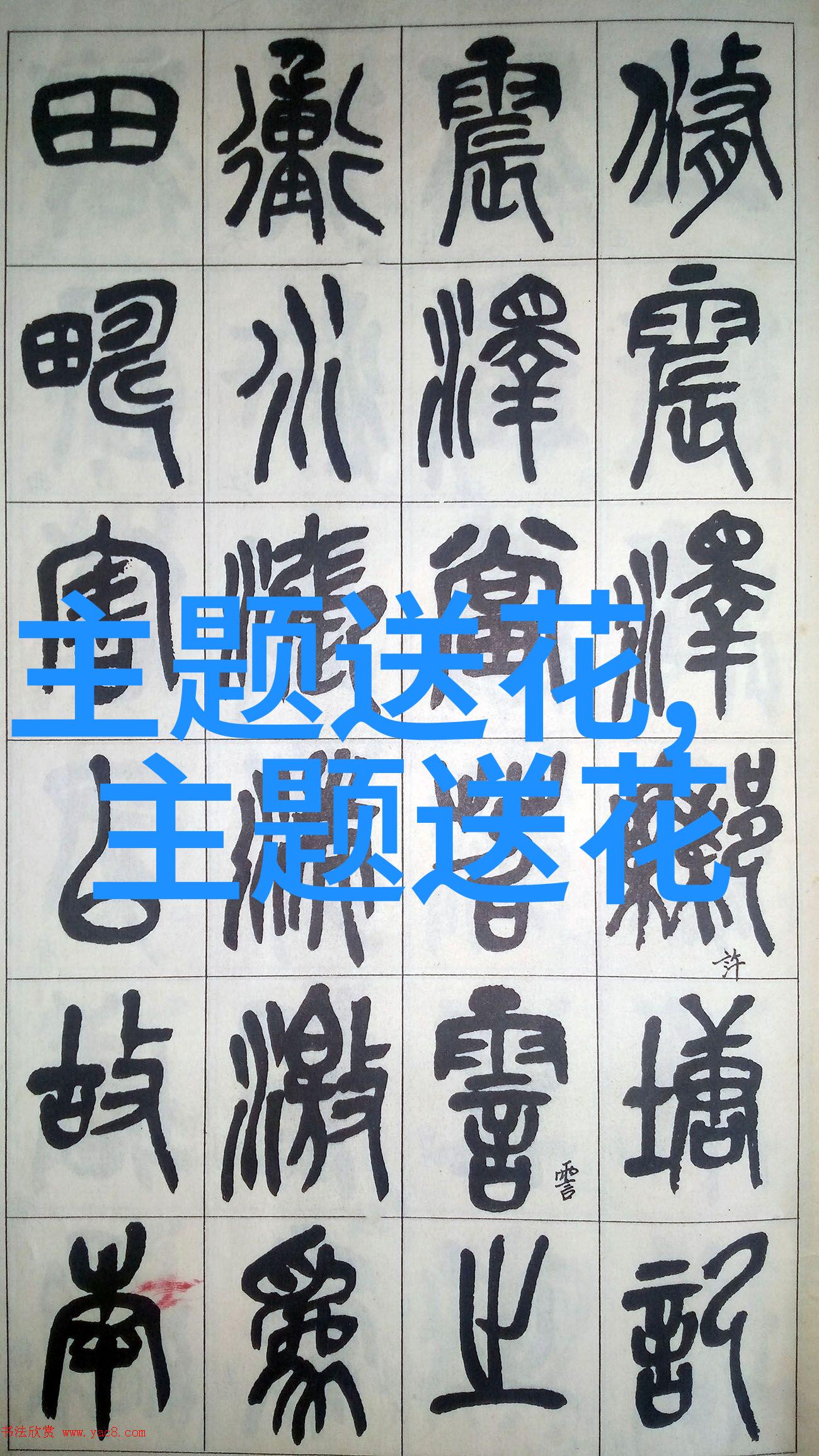 春节用花