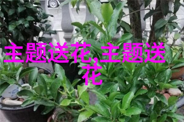 送玫瑰一般几朵合适